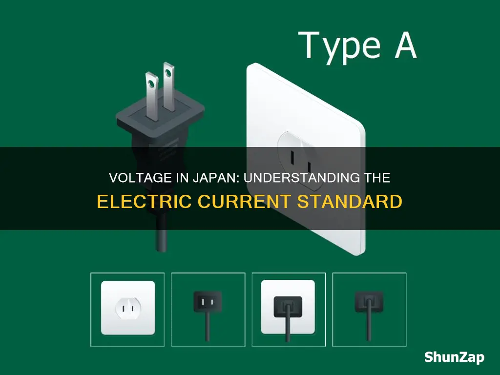 what is the electric voltage in japan