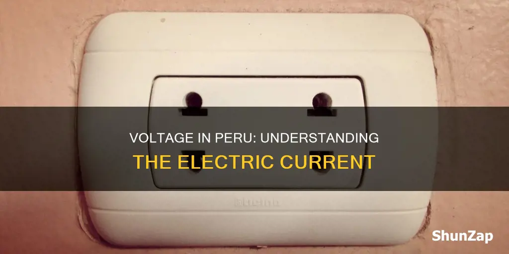 what is the electric voltage in peru