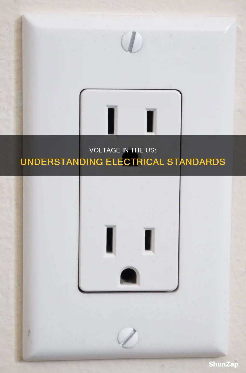 what is the electric voltage in us