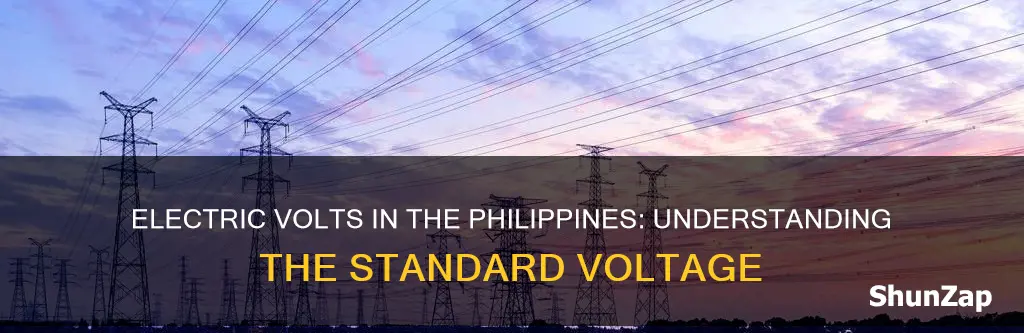 what is the electric volts in philippines