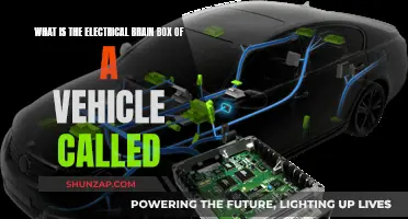 The Brain Behind Your Car: Understanding the Fuse Box
