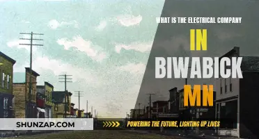 Electrical Company Options in Biwabick, MN: All You Need to Know