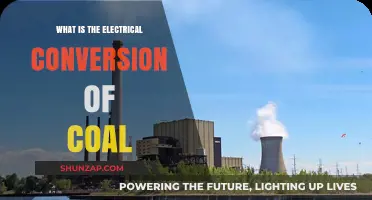 How Coal Electrifies the World
