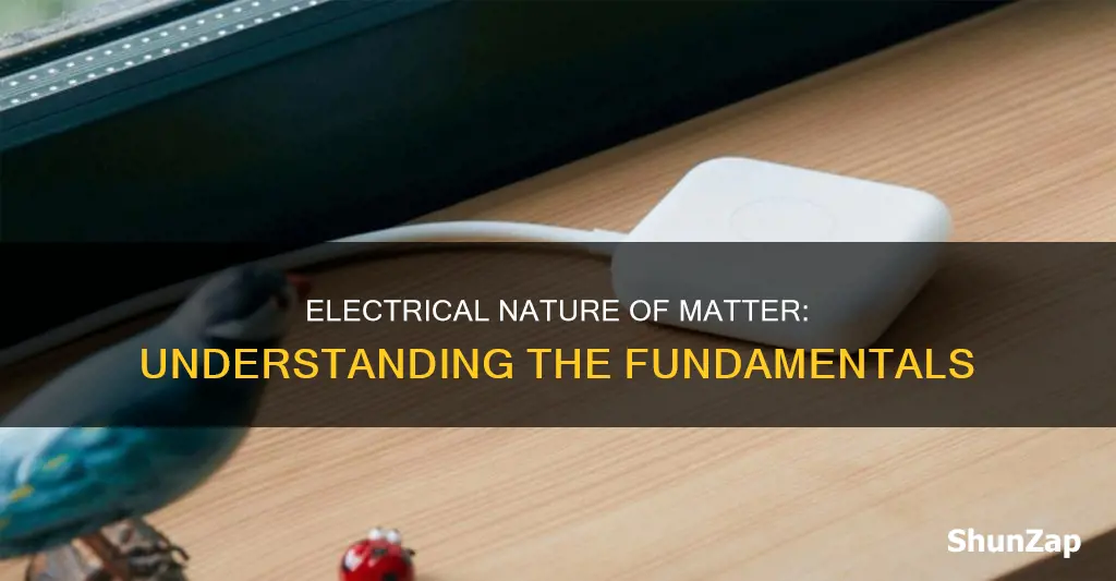 what is the electrical nature of matter