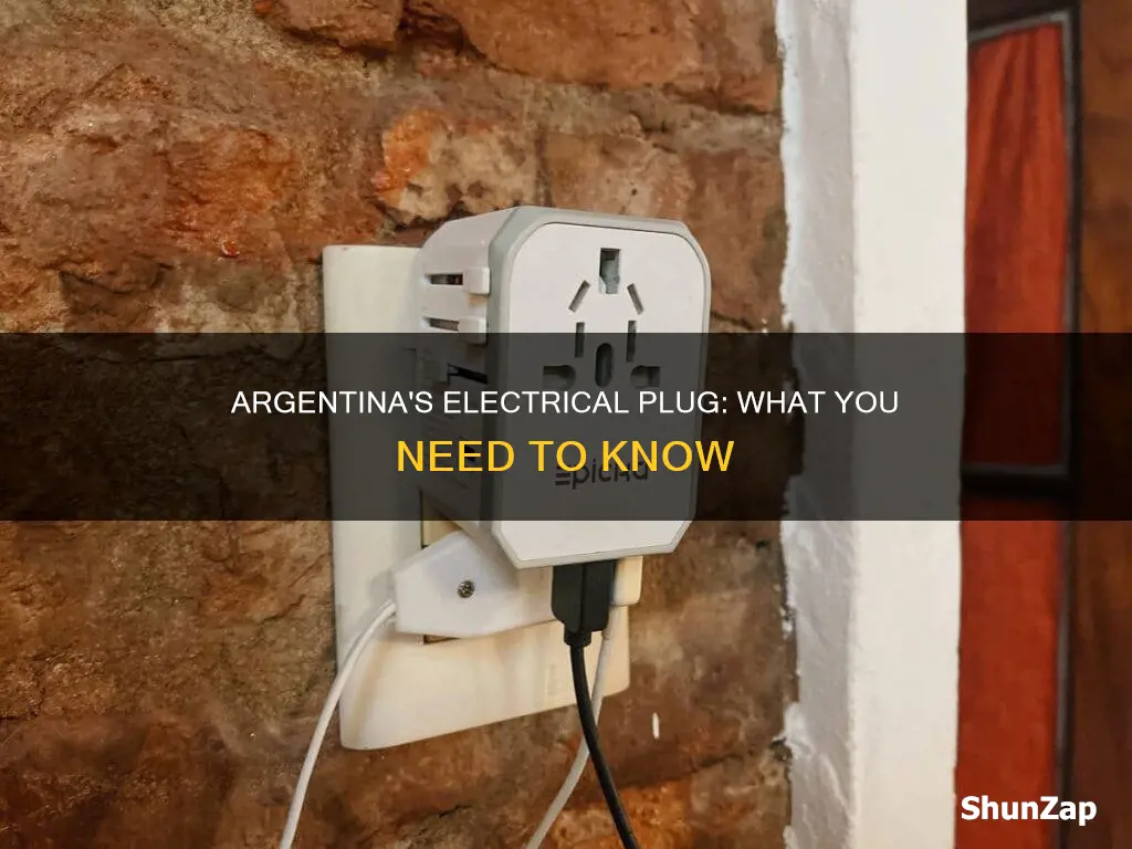 what is the electrical plug in argentina