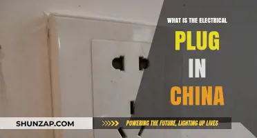 China's Electrical Plug: What You Need to Know