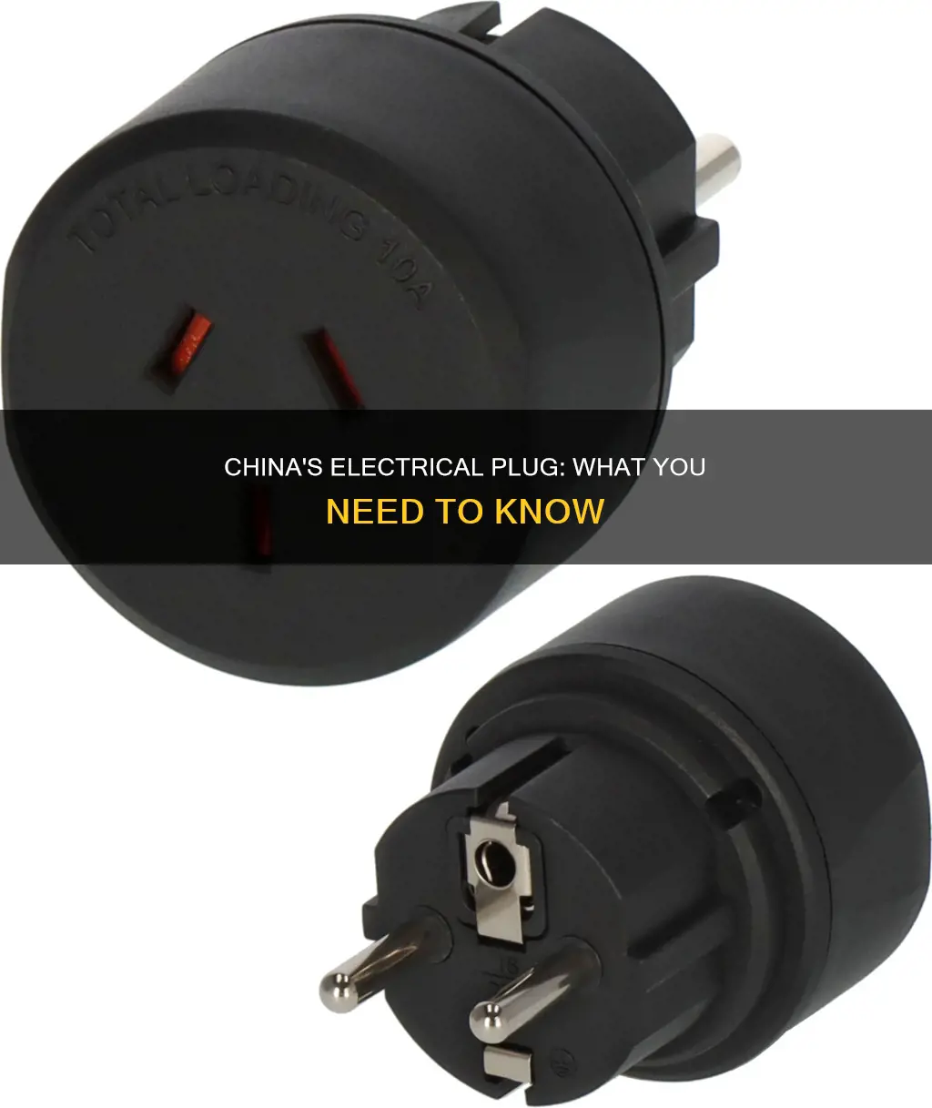 what is the electrical plug in china