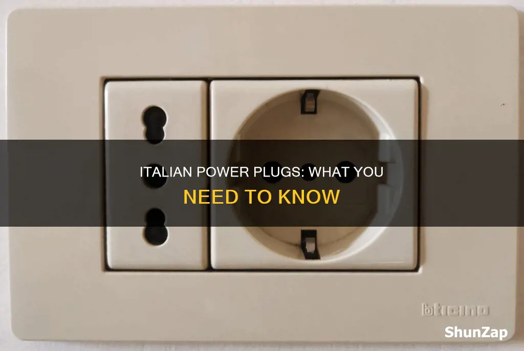 what is the electrical plug in italy