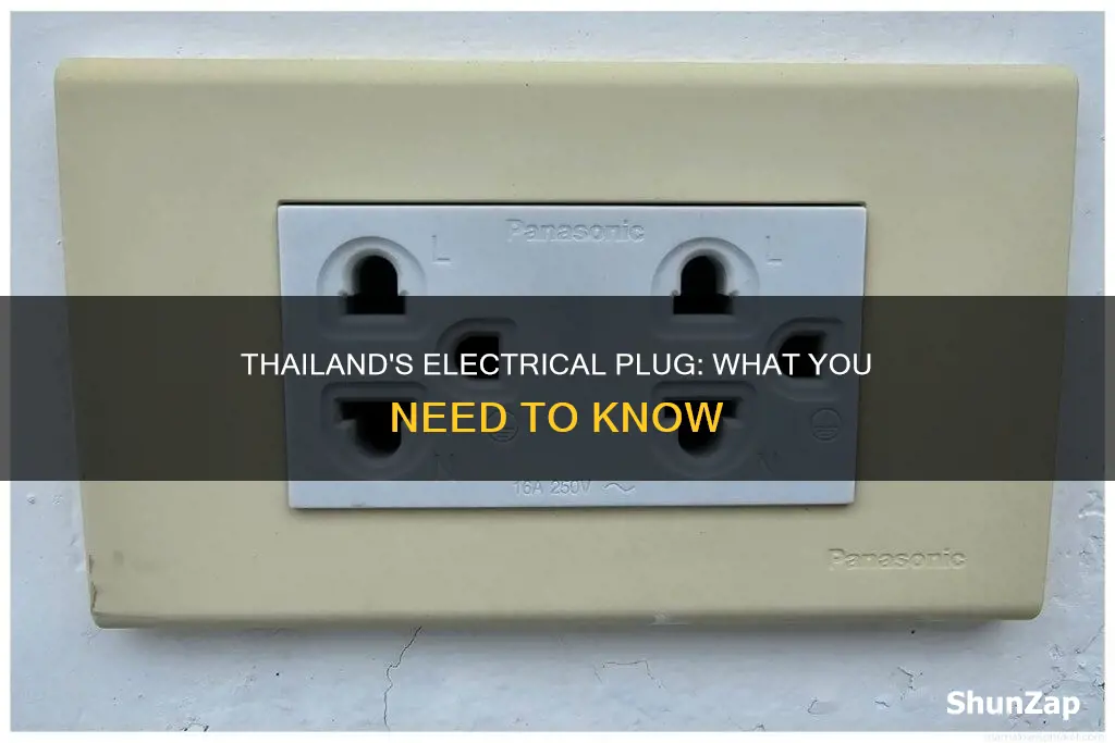 what is the electrical plug in thailand
