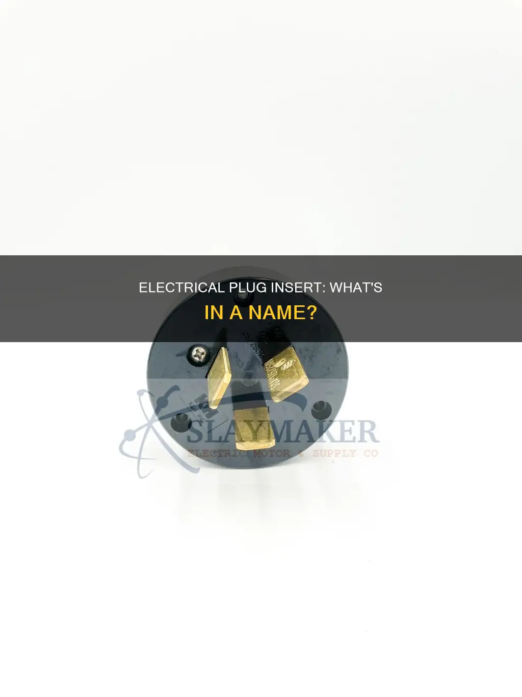 what is the electrical plug insert called