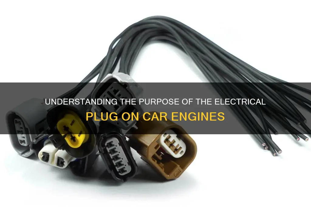 what is the electrical plug on a car engine for
