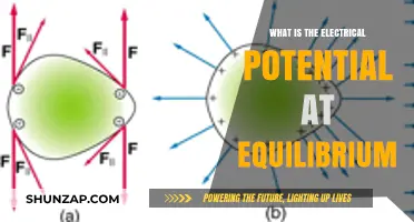 Understanding Electrical Potential in Equilibrium