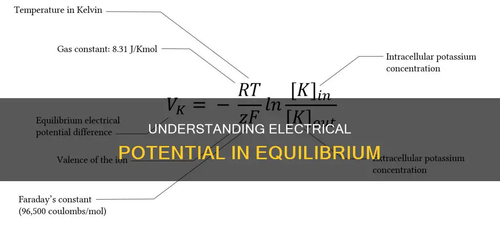what is the electrical potential at equilibrium