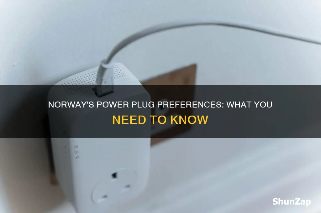 what is the electrical prong for norway