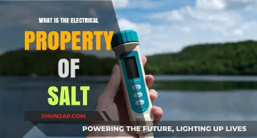 Salt's Electrical Secrets: Ionic Superpowers
