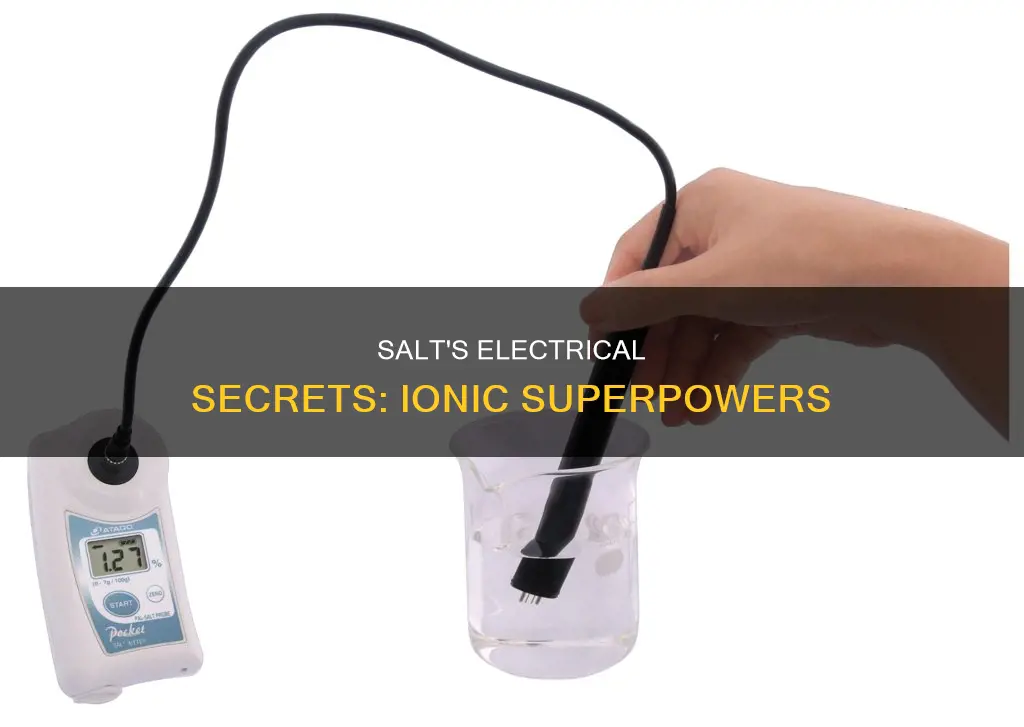 what is the electrical property of salt