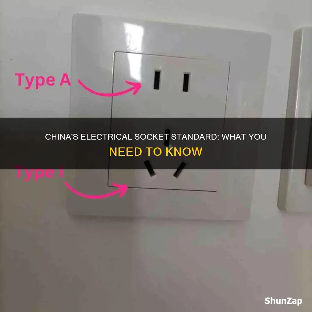 what is the electrical socket in china