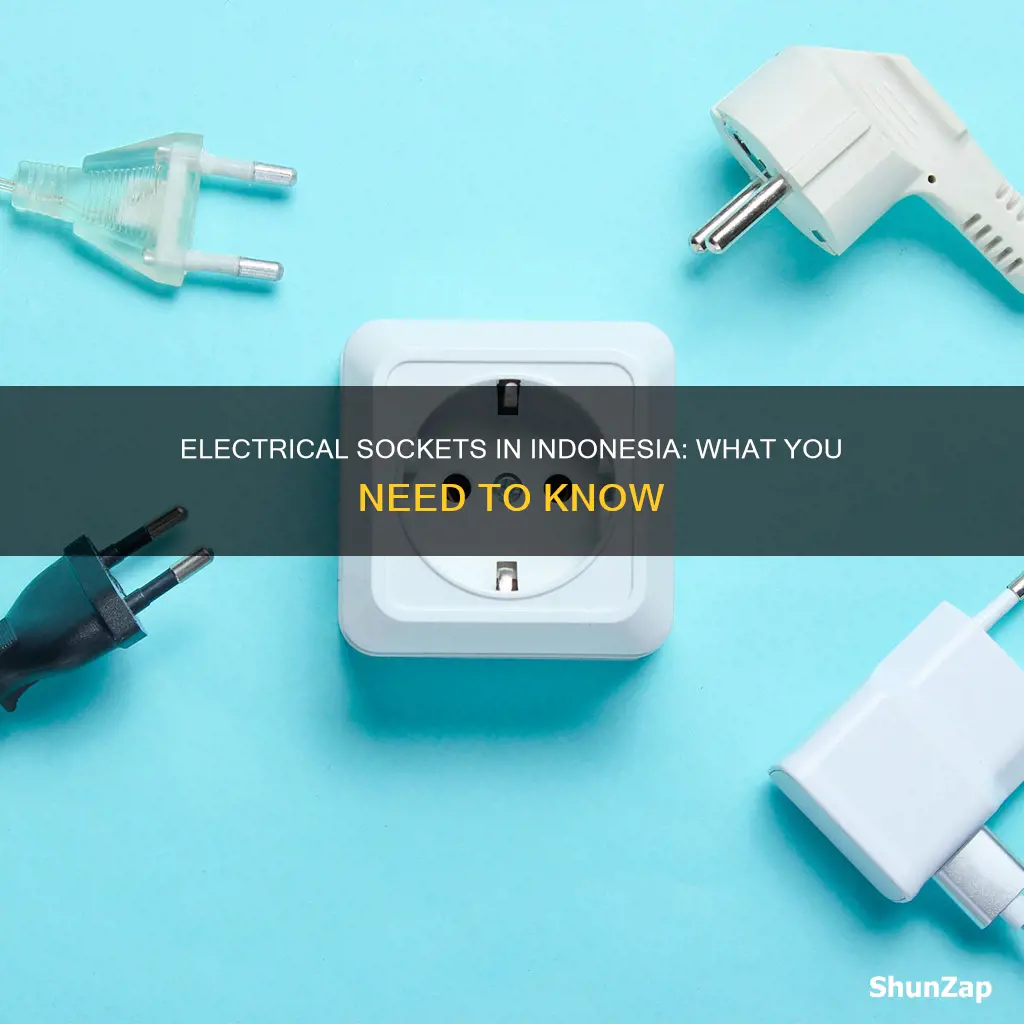 what is the electrical socket in indonesia