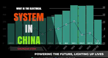 China's Electrical System: A Complex Network