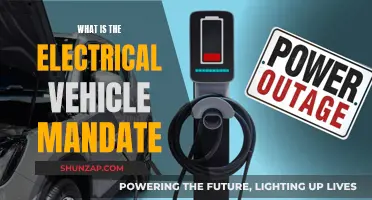 The Future of Driving: Understanding the EV Mandate