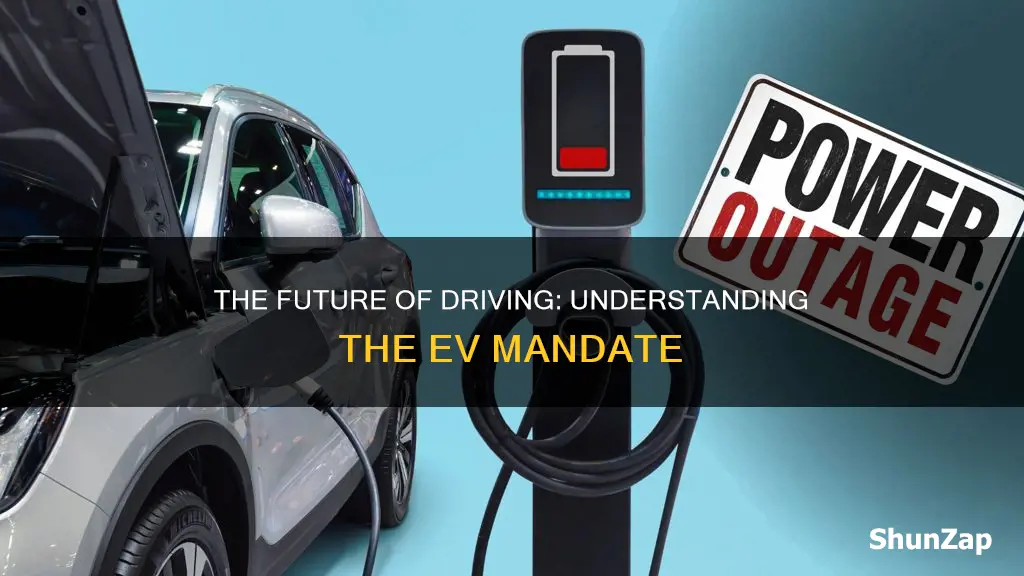 what is the electrical vehicle mandate