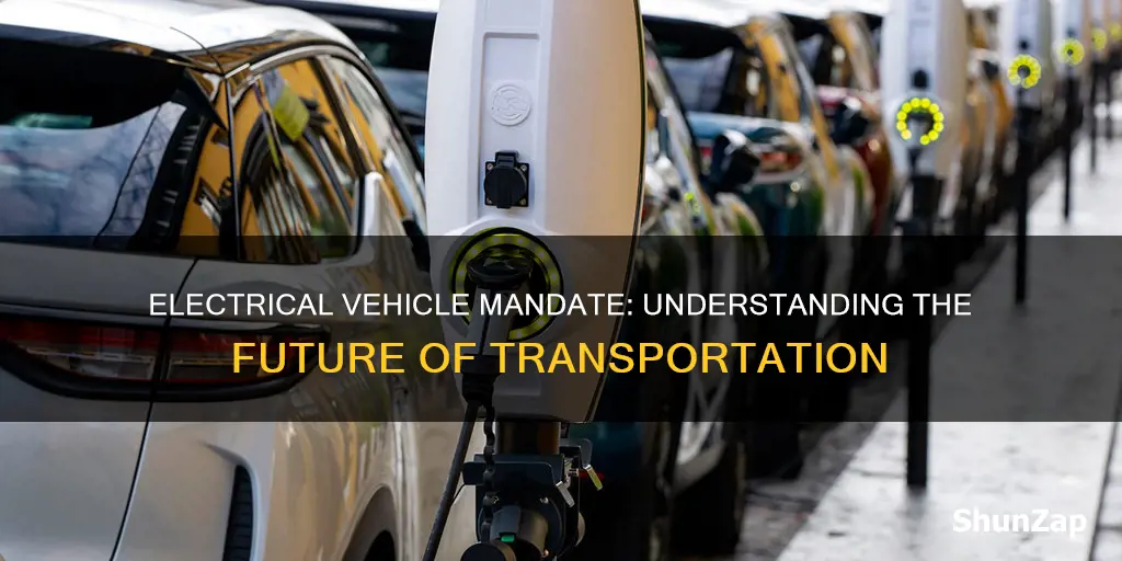 what is the electrical vehicle mandate