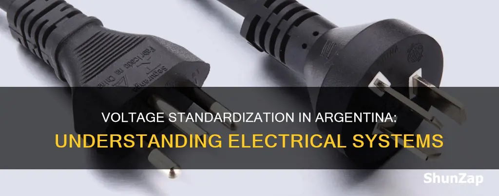 what is the electrical voltage in argentina