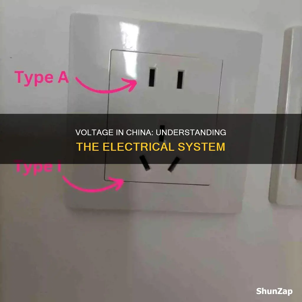 what is the electrical voltage in china
