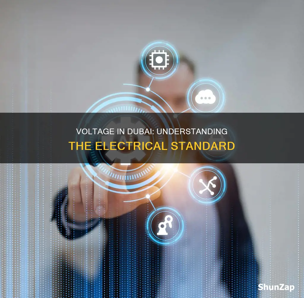what is the electrical voltage in dubai