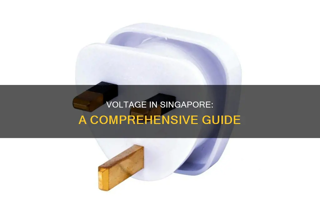what is the electrical voltage in singapore