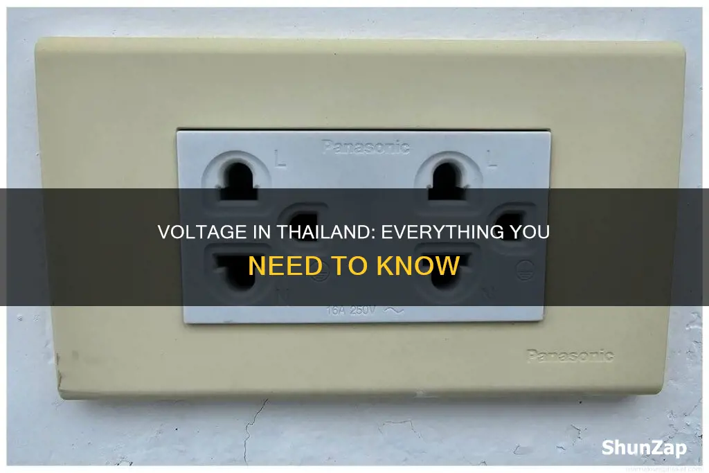 what is the electrical voltage in thailand