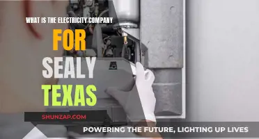Electricity Company Options for Sealy, Texas Residents