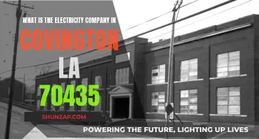 Electricity Provider Options in Covington, LA 70435