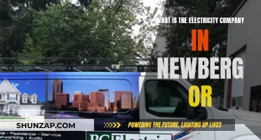 Unveiling Newberg's Power: The Electric Company's Role