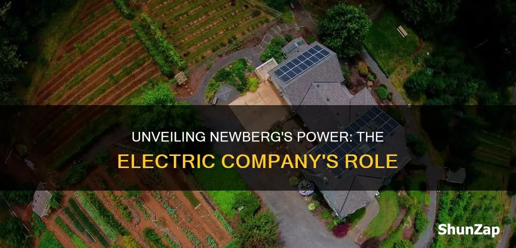 what is the electricity company in newberg or