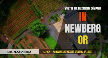 Electricity Provider in Newberg, Oregon: Who Powers the City?