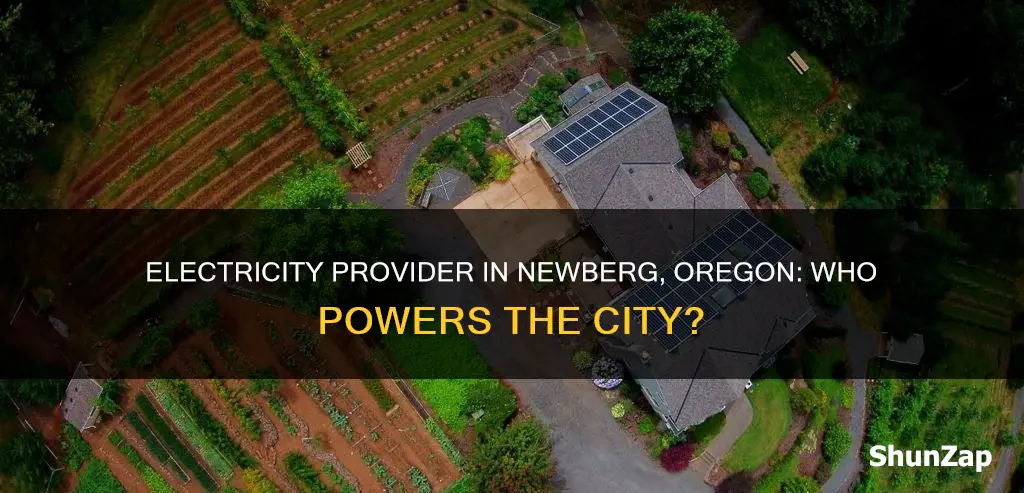 what is the electricity company in newberg or