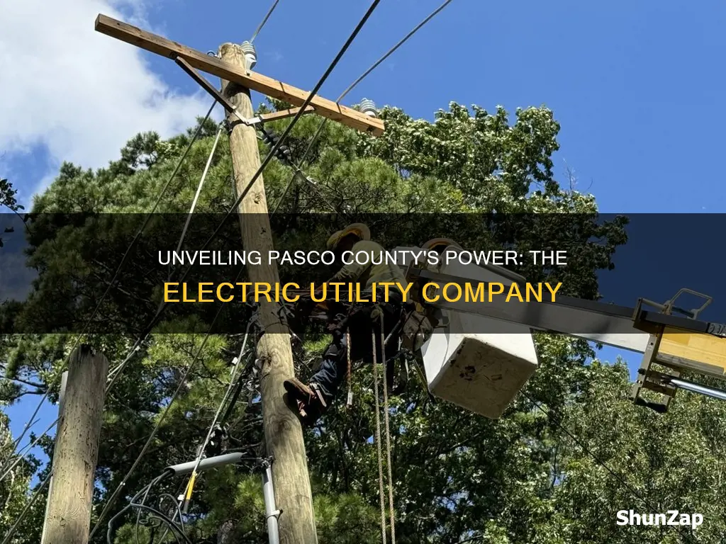 what is the electricity company in pasco county