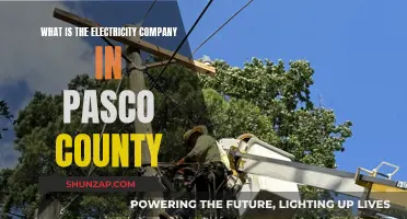 Electricity Company in Pasco County: Who Powers Your Home?