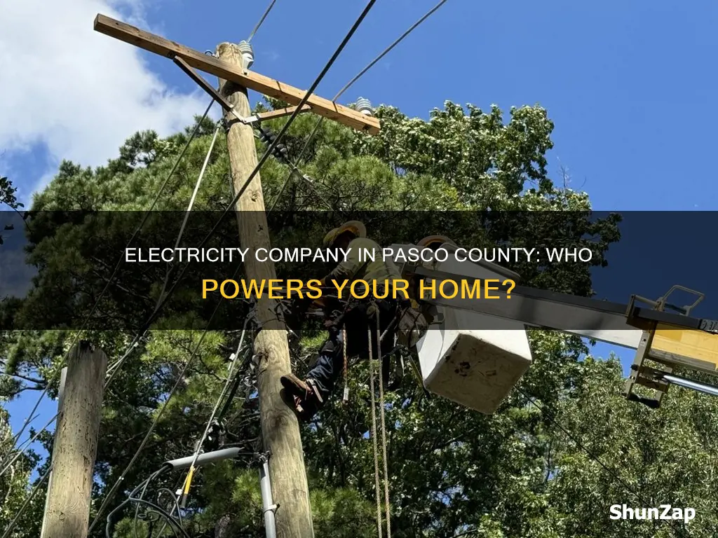 what is the electricity company in pasco county