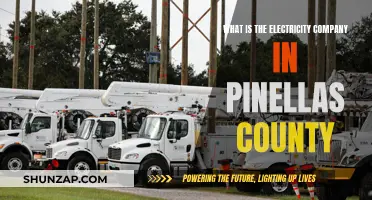 Unveiling Pinellas County's Power: The Key Player in Electricity