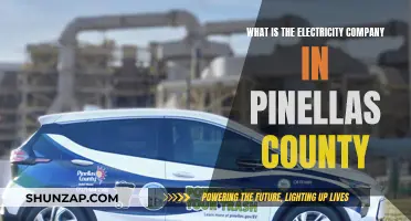 Electricity Company in Pinellas County: Who Powers Your Home?