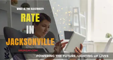 Jacksonville's Electricity Rates: A Costly Affair?