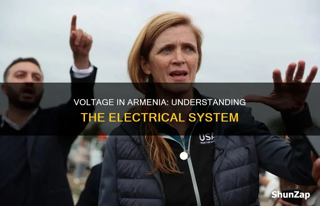 what is the electricity voltage in armenia