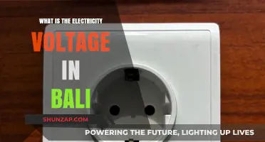 Voltage in Bali: Everything You Need to Know