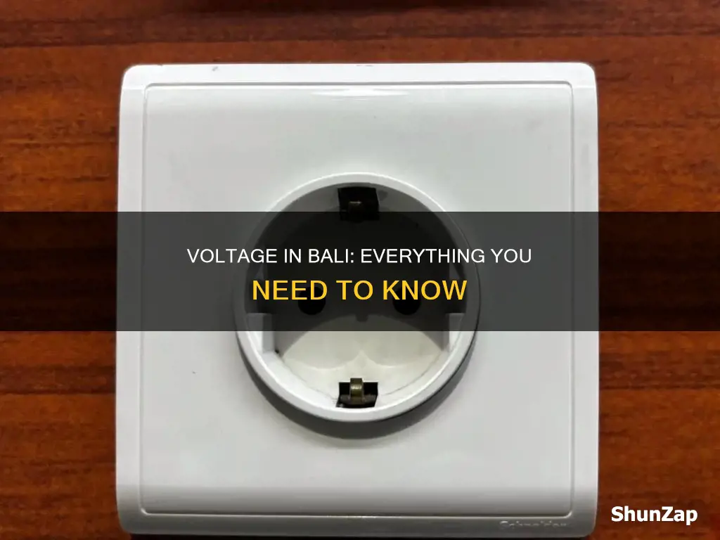 what is the electricity voltage in bali