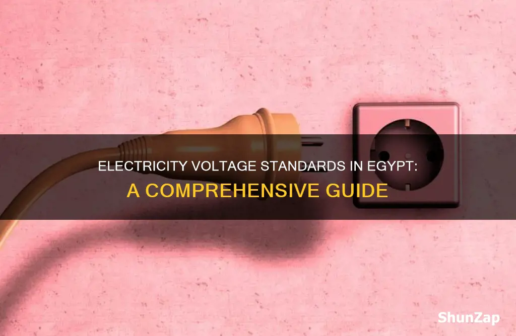 what is the electricity voltage in egypt