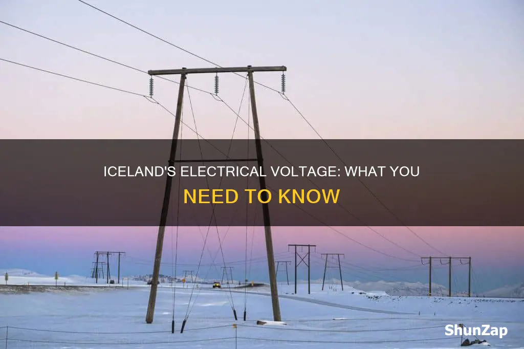 what is the electricity voltage in iceland