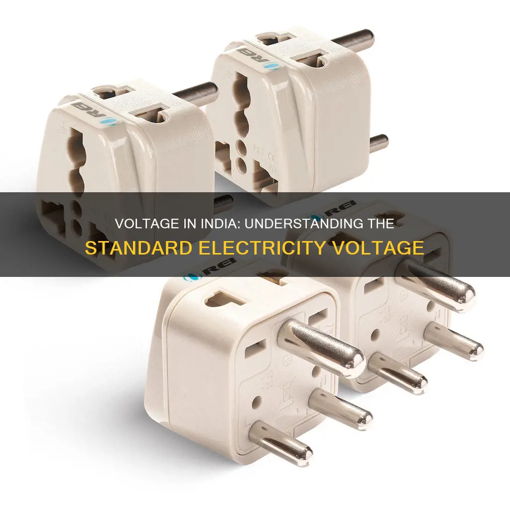 what is the electricity voltage in india
