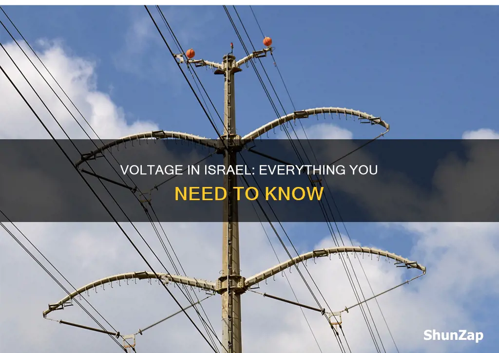what is the electricity voltage in isr